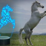unicorndelight88